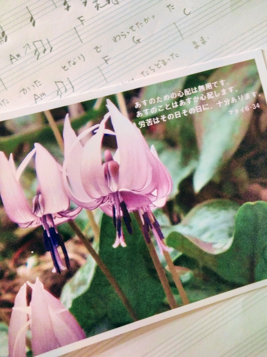 f:id:mikanococoro:20190516000245j:plain f:id:mikanococoro:20190516000245j:plain