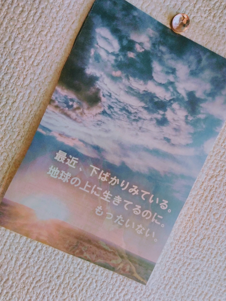 f:id:mikanococoro:20190528155416j:plain f:id:mikanococoro:20190528155416j:plain