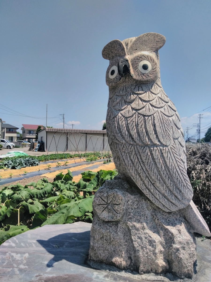 f:id:mikanococoro:20190603214812j:plain