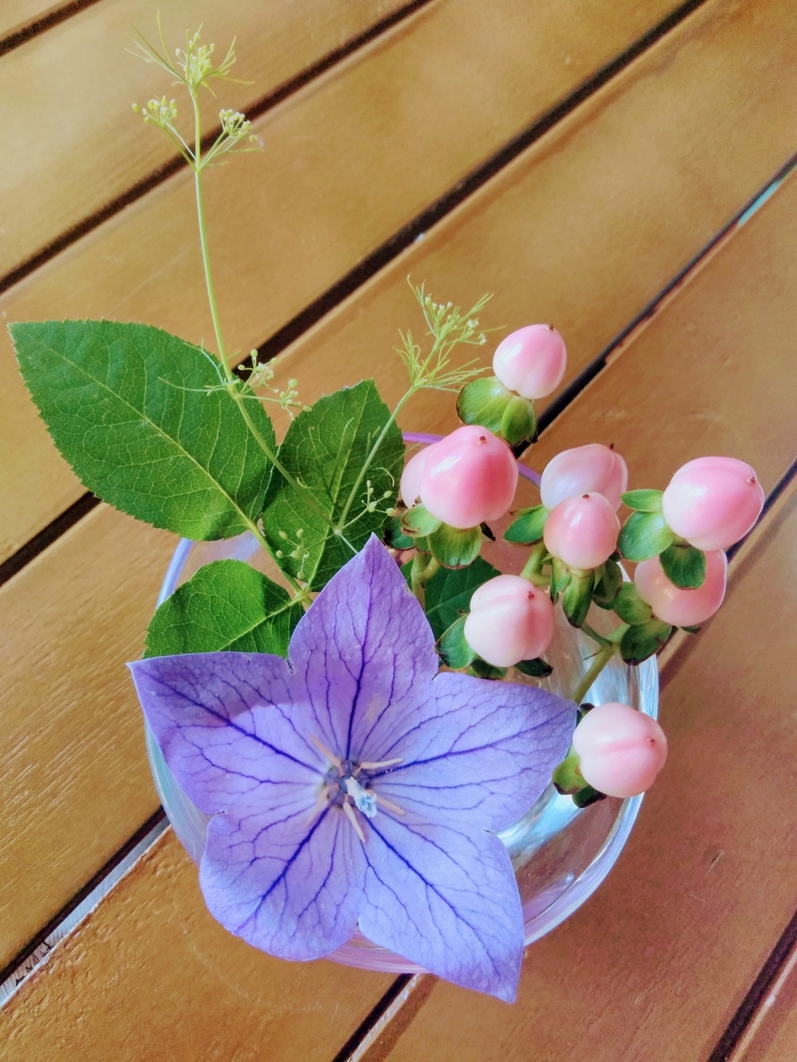 f:id:mikanococoro:20190611144940j:plain