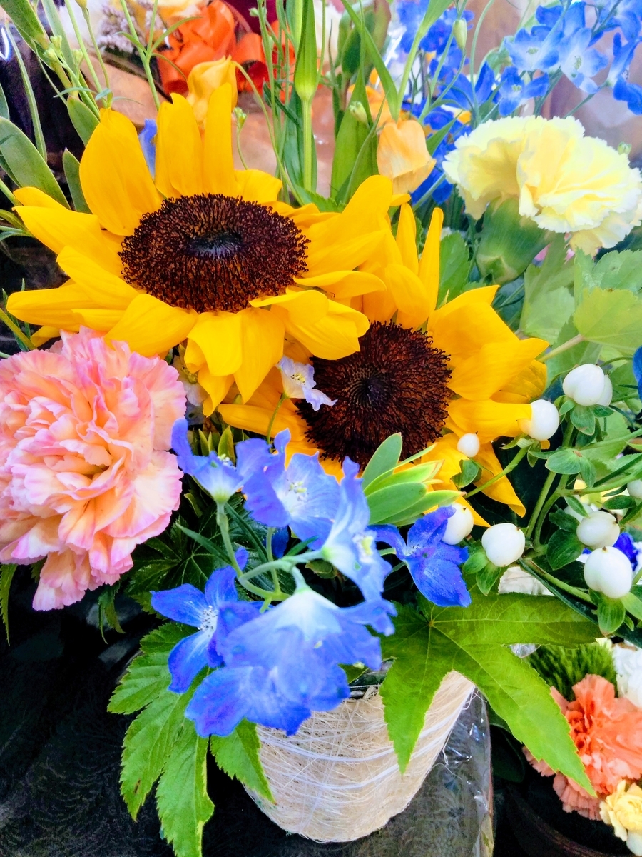 f:id:mikanococoro:20190615001200j:plain