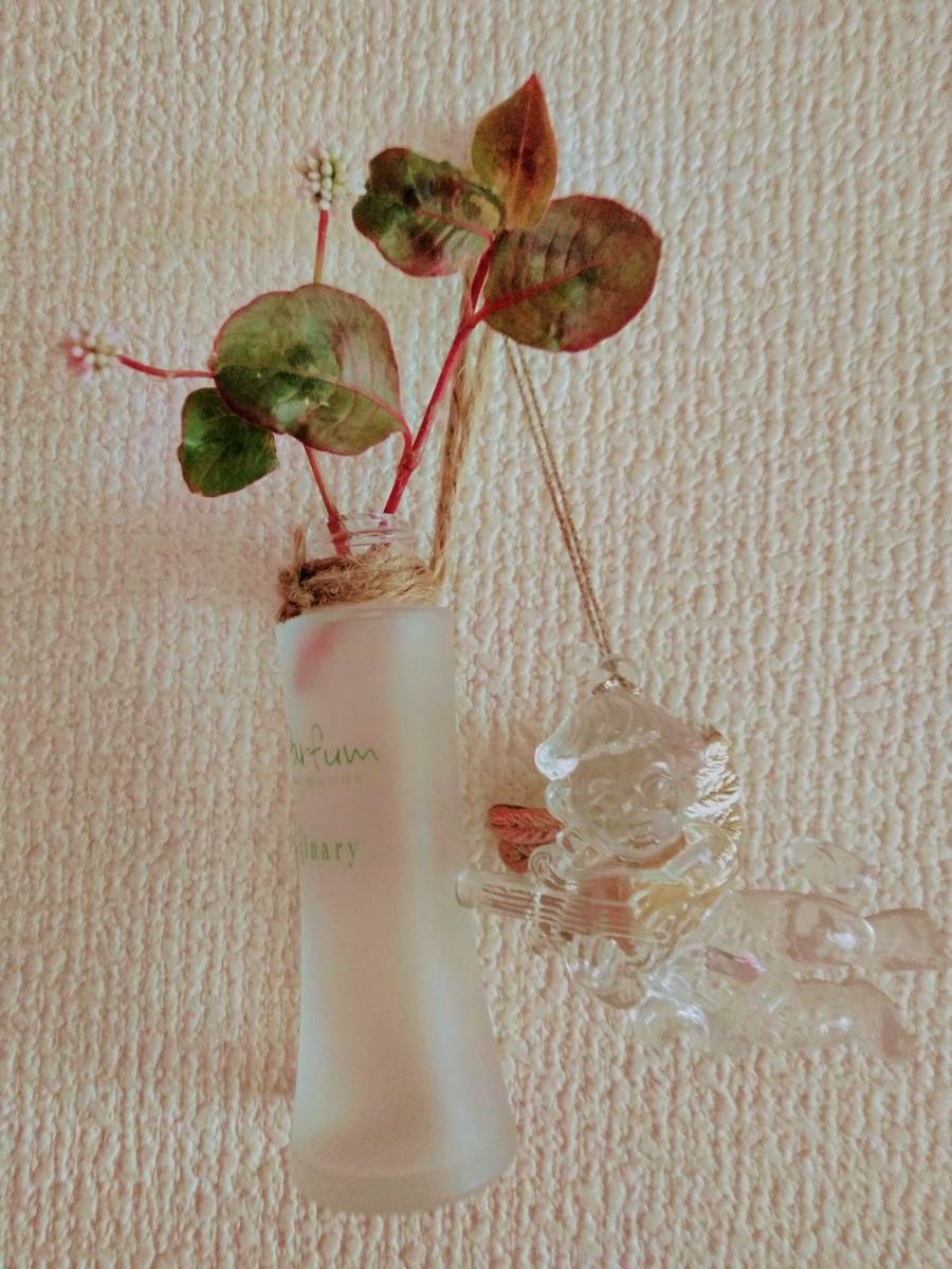 f:id:mikanococoro:20190615105813j:plain