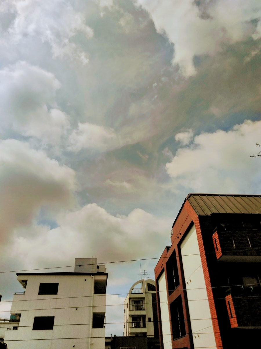 f:id:mikanococoro:20190628100548j:plain