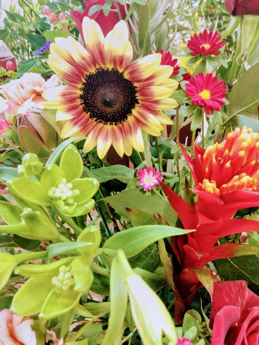 f:id:mikanococoro:20190630122219j:plain f:id:mikanococoro:20190630122219j:plain