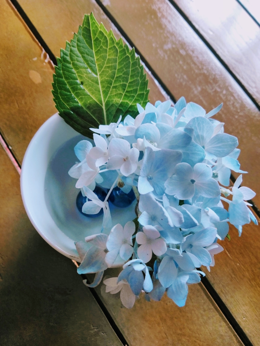 f:id:mikanococoro:20190708125902j:plain f:id:mikanococoro:20190708125902j:plain