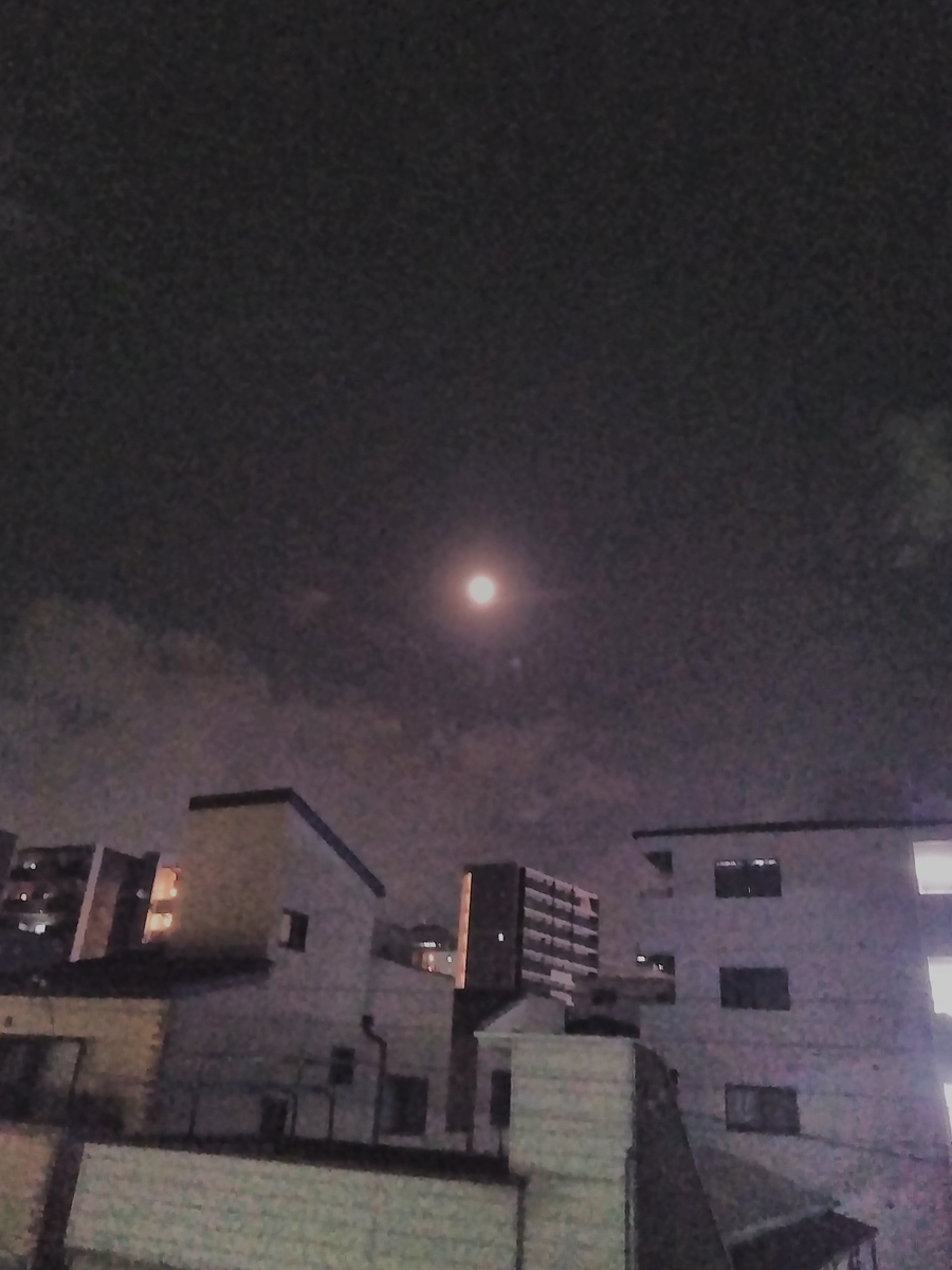 f:id:mikanococoro:20190718095917j:plain f:id:mikanococoro:20190718095917j:plain