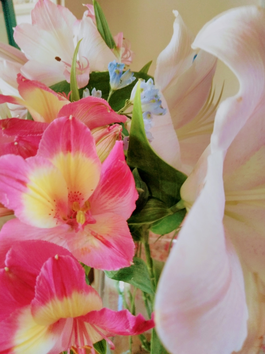 f:id:mikanococoro:20190730110506j:plain