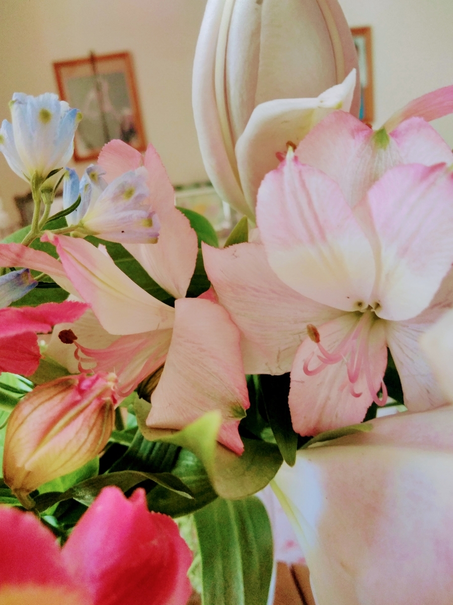 f:id:mikanococoro:20190730110537j:plain