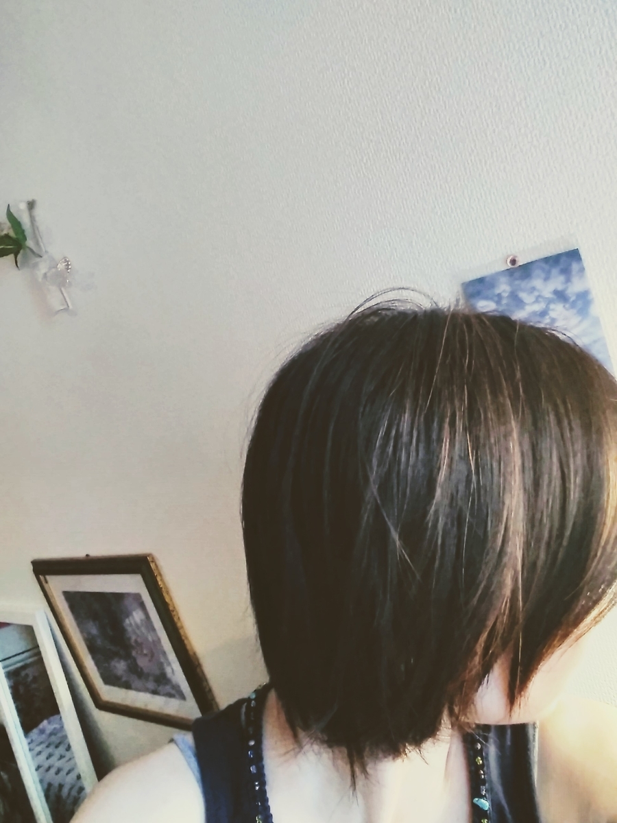 f:id:mikanococoro:20190731203141j:plain