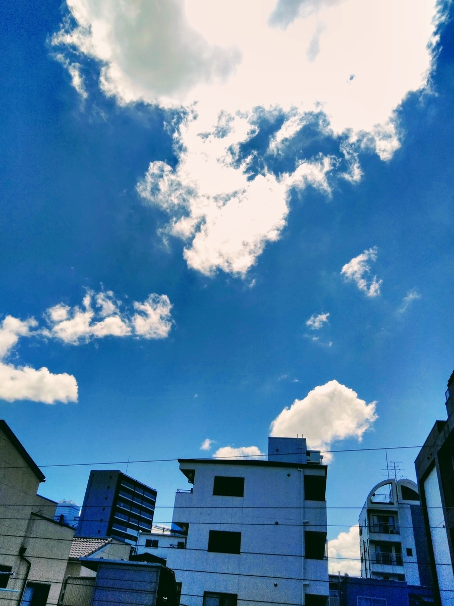f:id:mikanococoro:20190805122052j:plain f:id:mikanococoro:20190805122052j:plain