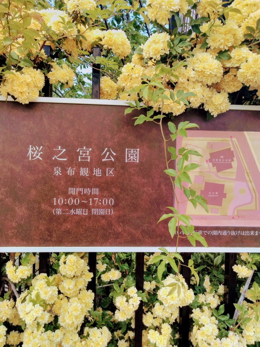 f:id:mikanococoro:20190809231040j:plain f:id:mikanococoro:20190809231040j:plain