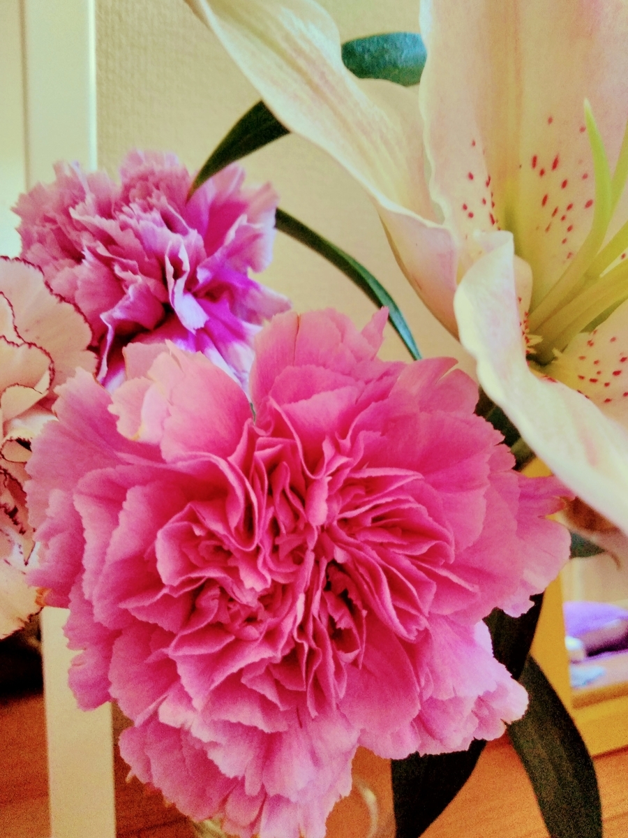 f:id:mikanococoro:20190815134841j:plain