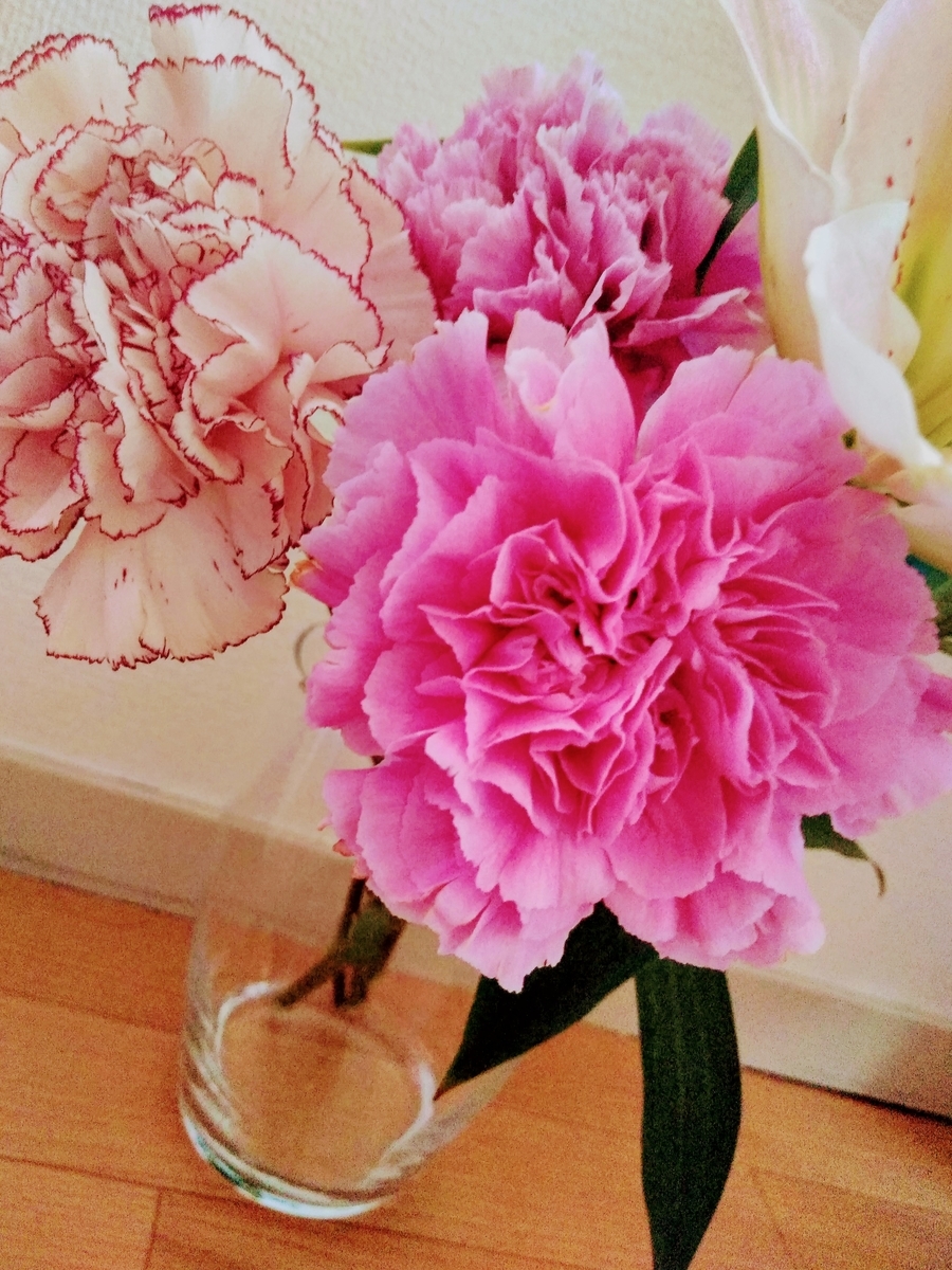 f:id:mikanococoro:20190815134933j:plain