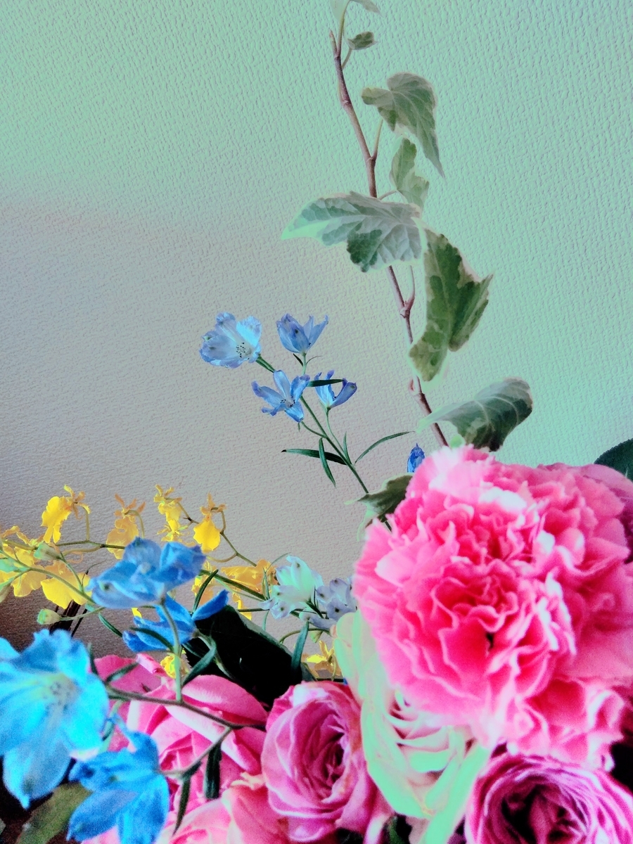 f:id:mikanococoro:20190829003305j:plain f:id:mikanococoro:20190829003305j:plain