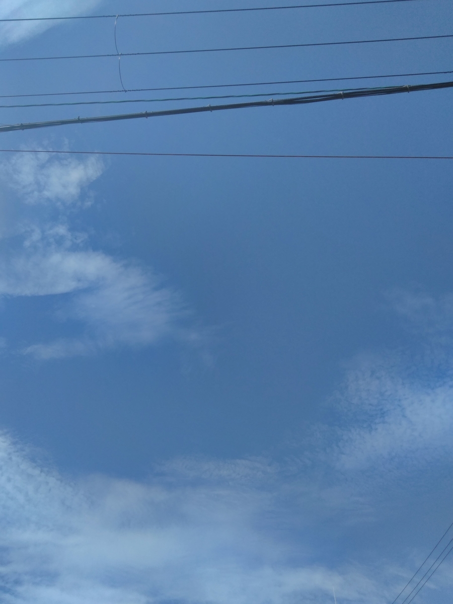 f:id:mikanococoro:20190913000916j:plain