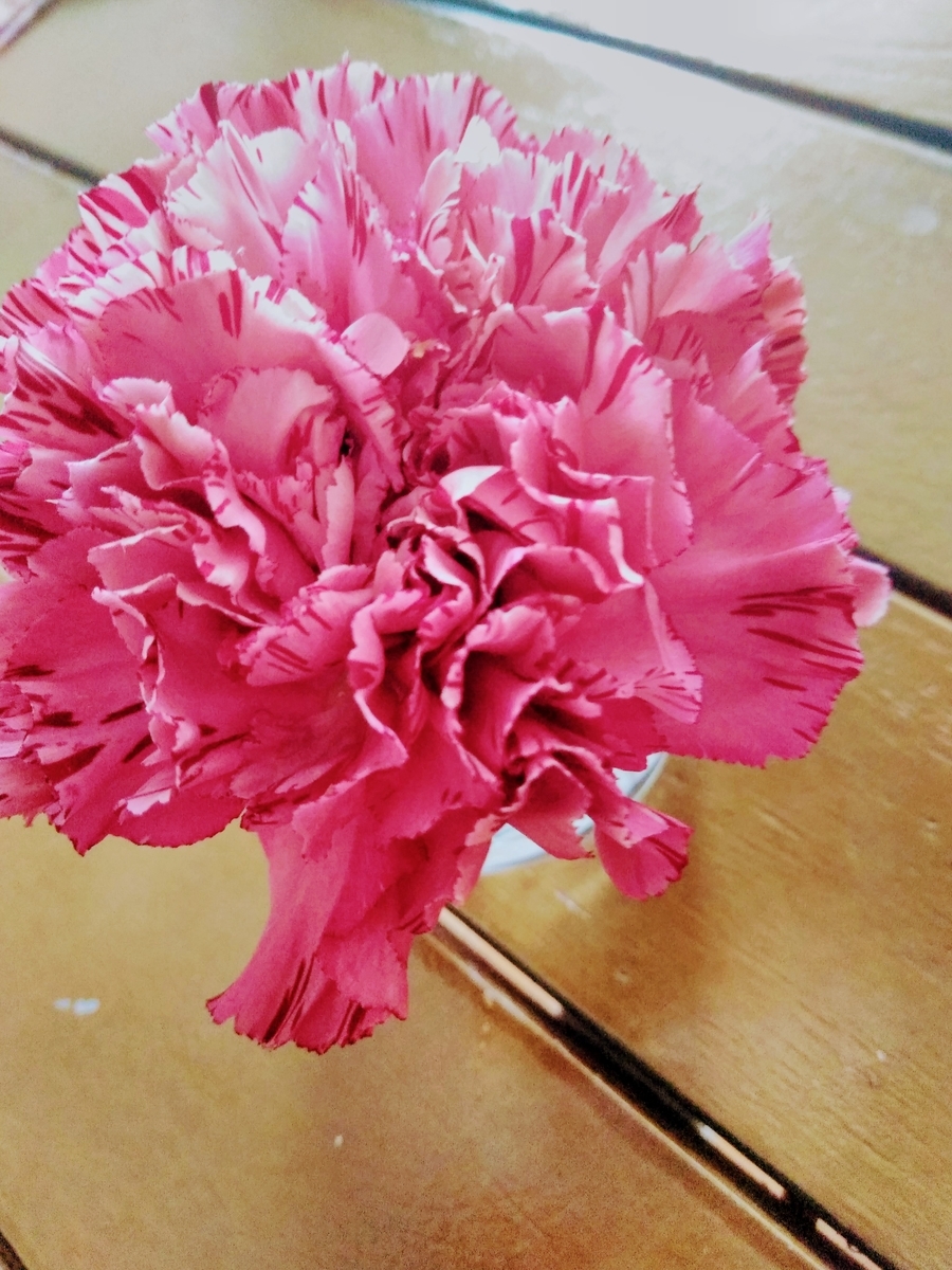 f:id:mikanococoro:20190928113116j:plain
