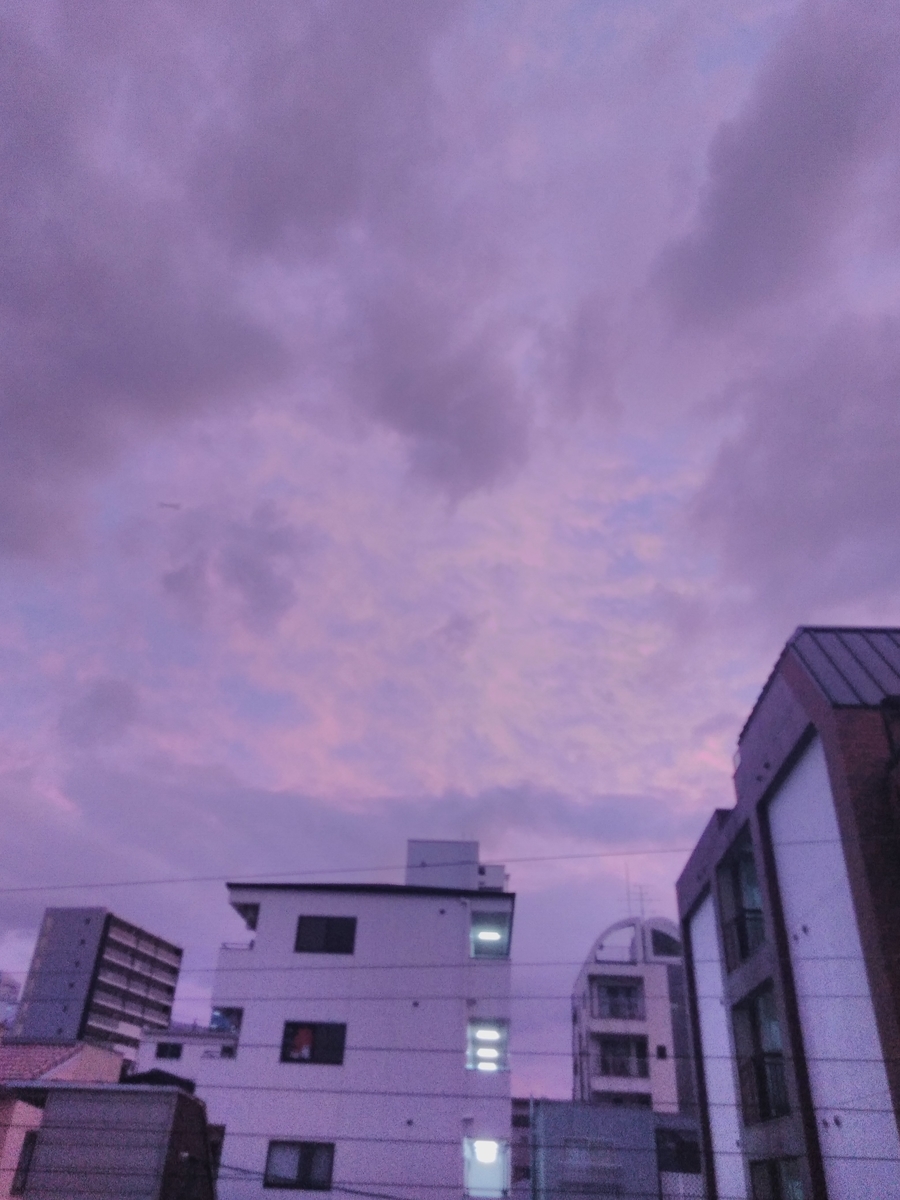 f:id:mikanococoro:20191012163053j:plain