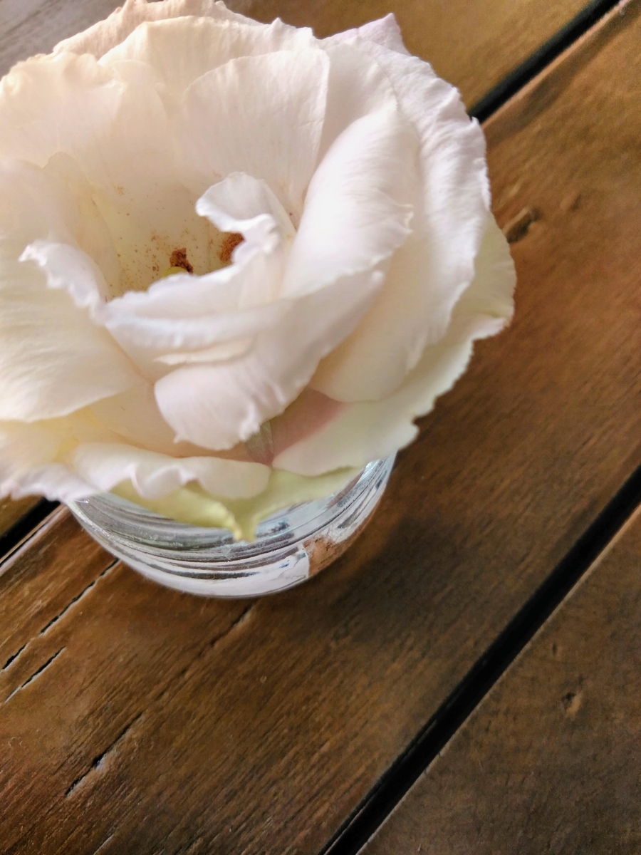 f:id:mikanococoro:20191022170003j:plain f:id:mikanococoro:20191022170003j:plain