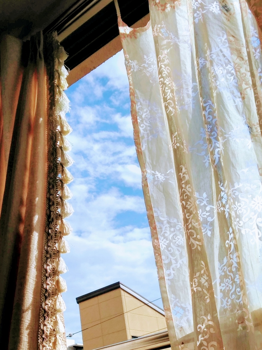 f:id:mikanococoro:20191118132119j:plain