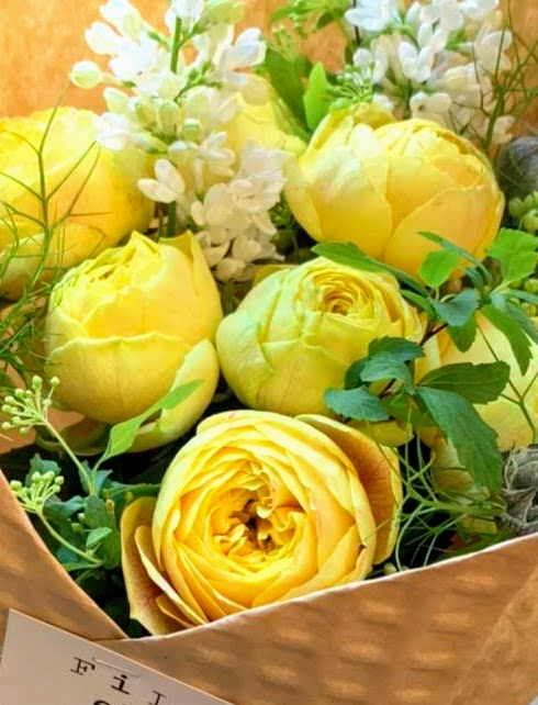 f:id:mikanococoro:20200127204020j:plain
