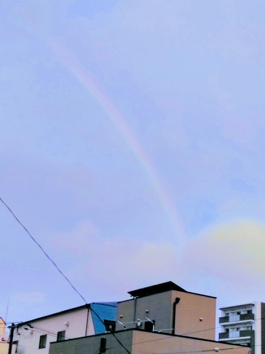 f:id:mikanococoro:20200310175144j:plain