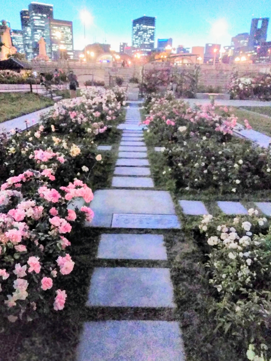f:id:mikanococoro:20200515134802j:plain f:id:mikanococoro:20200515134802j:plain