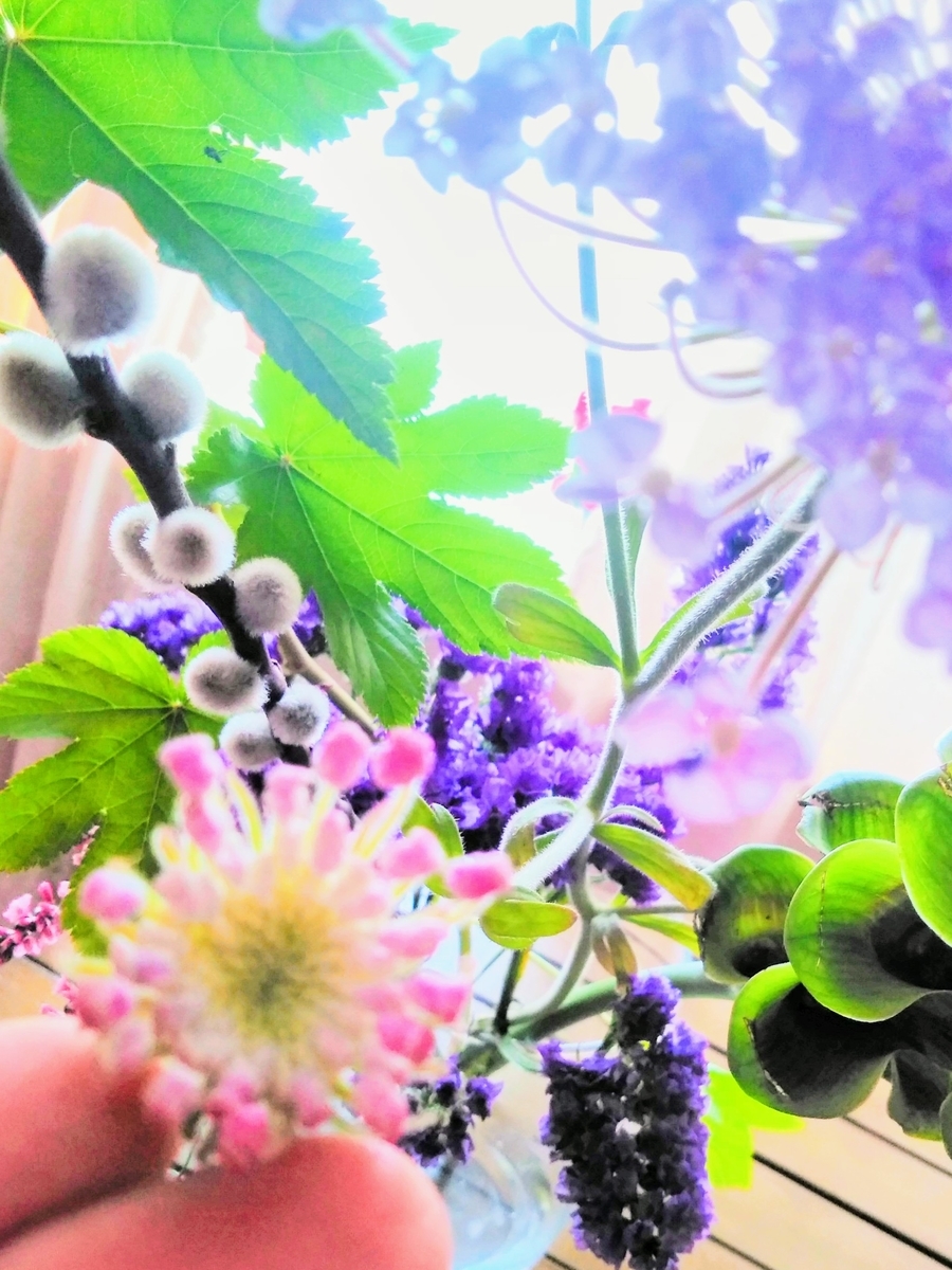 f:id:mikanococoro:20200520122545j:plain