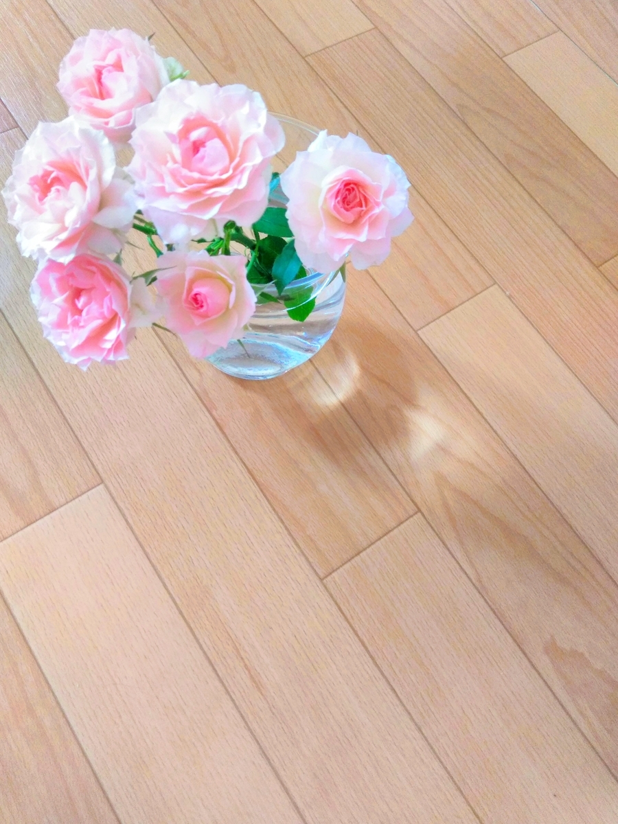 f:id:mikanococoro:20200817205514j:plain f:id:mikanococoro:20200817205514j:plain
