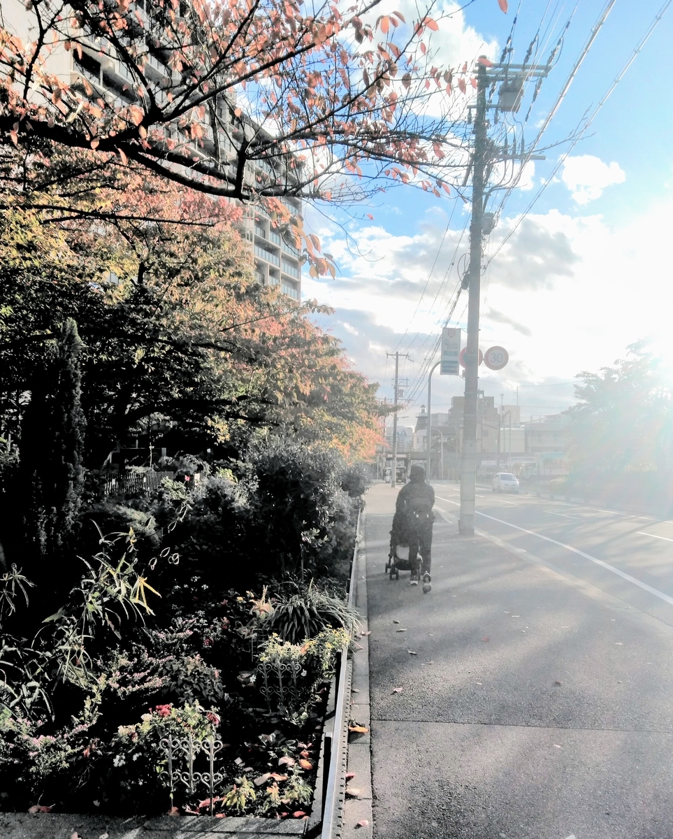 f:id:mikanococoro:20201122103549j:plain