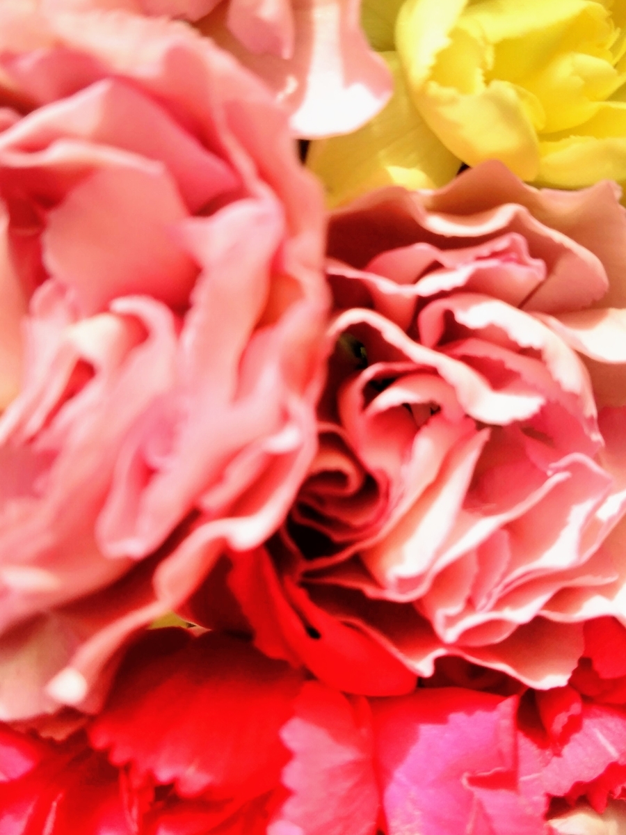 f:id:mikanococoro:20201130190835j:plain