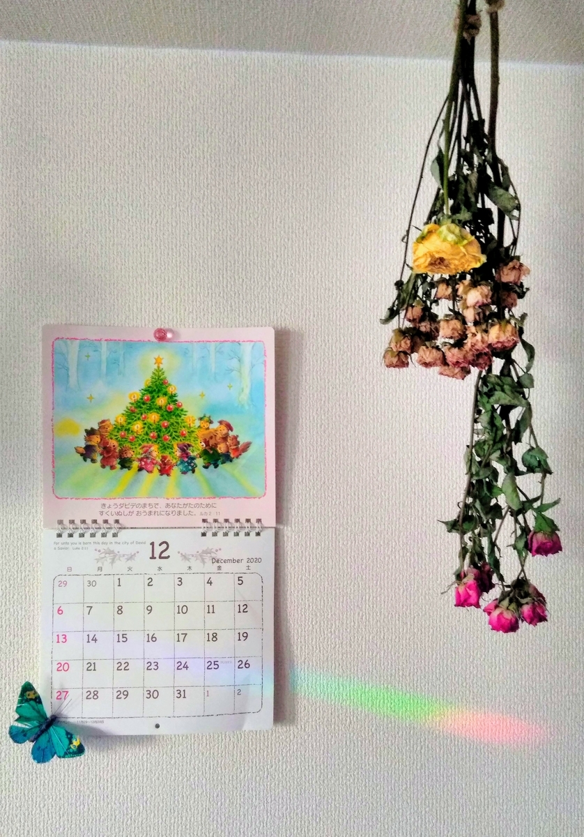 f:id:mikanococoro:20201206135531j:plain