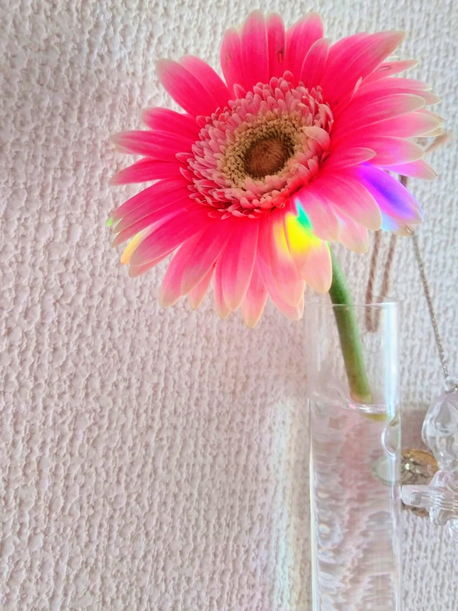 f:id:mikanococoro:20201207171411j:plain