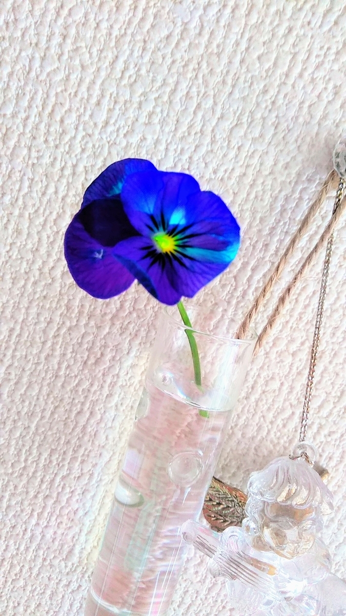 f:id:mikanococoro:20210108214815j:plain