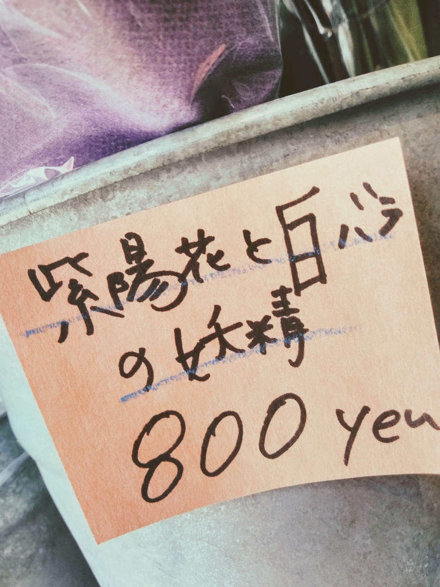 f:id:mikanococoro:20210130213001j:plain