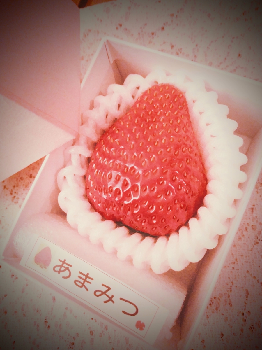 f:id:mikanococoro:20210216075441j:plain