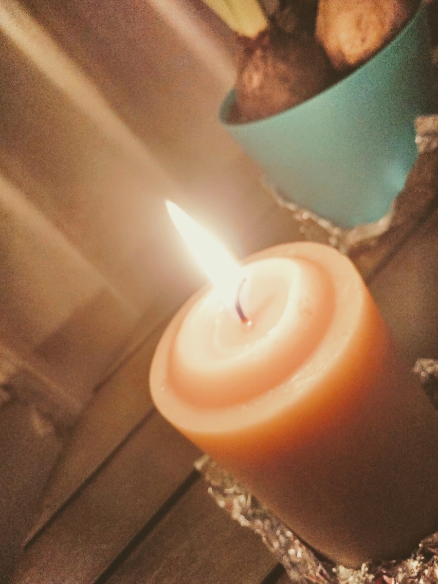 f:id:mikanococoro:20210222225854j:plain