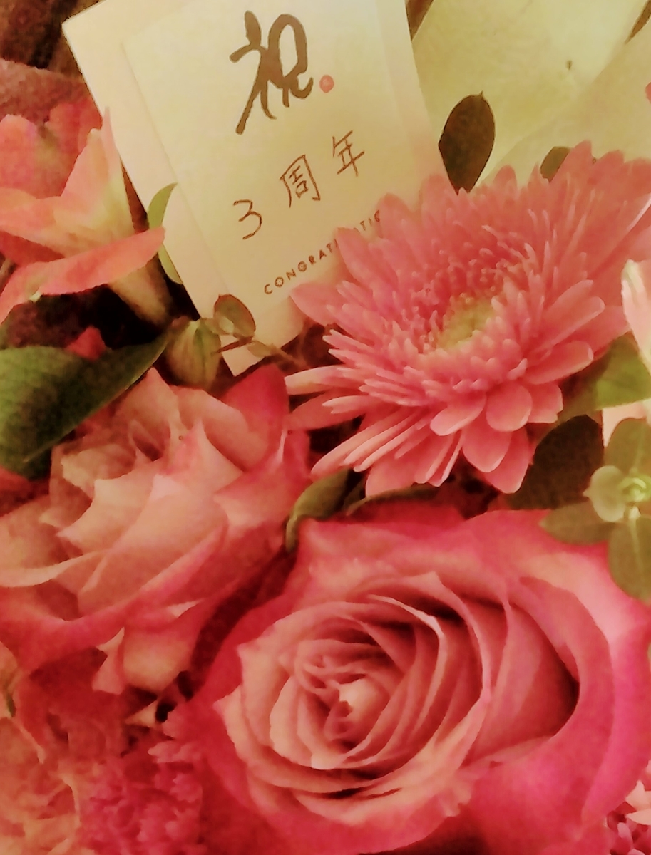 f:id:mikanococoro:20210227223709j:plain