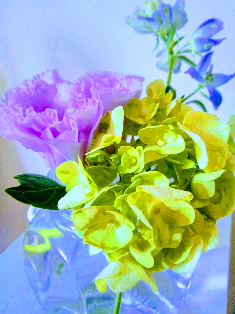 f:id:mikanococoro:20210321034204j:plain