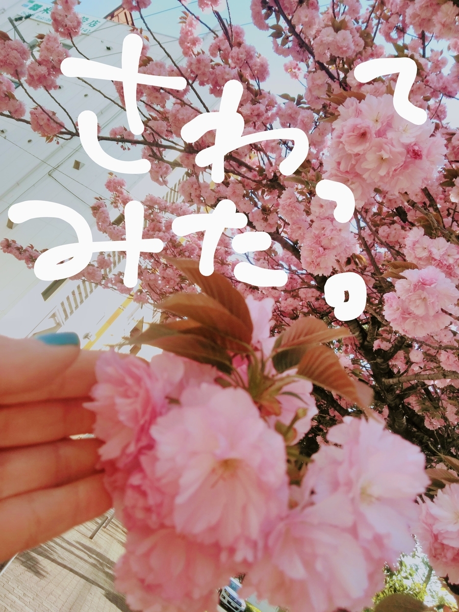 f:id:mikanococoro:20210407224541j:plain