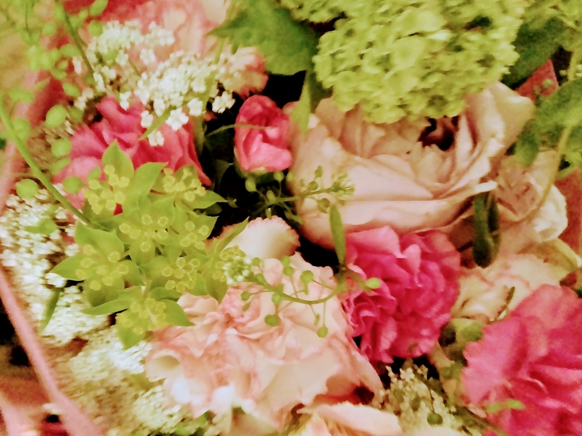 f:id:mikanococoro:20210427214408j:plain