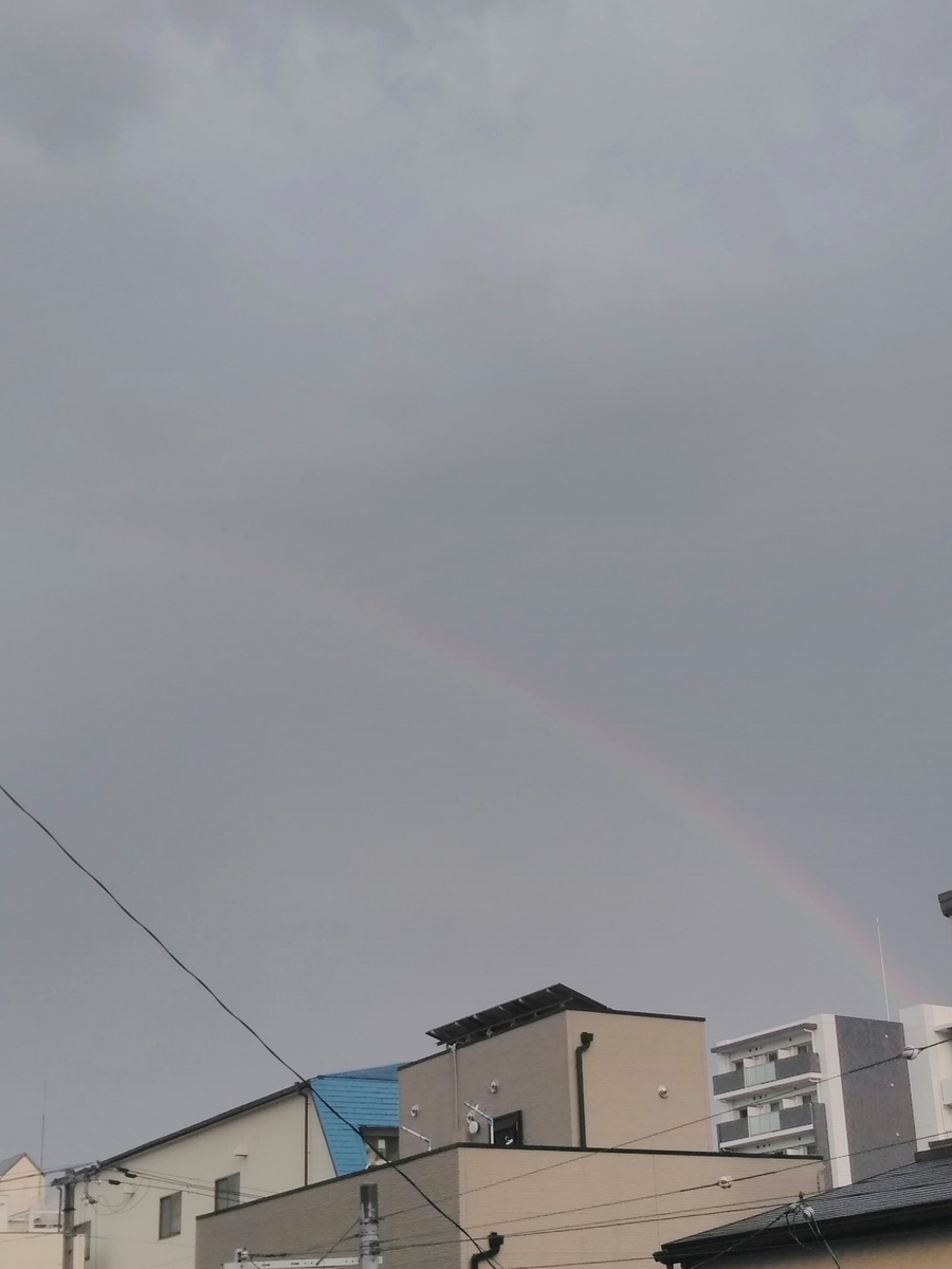 f:id:mikanococoro:20210502121423j:plain