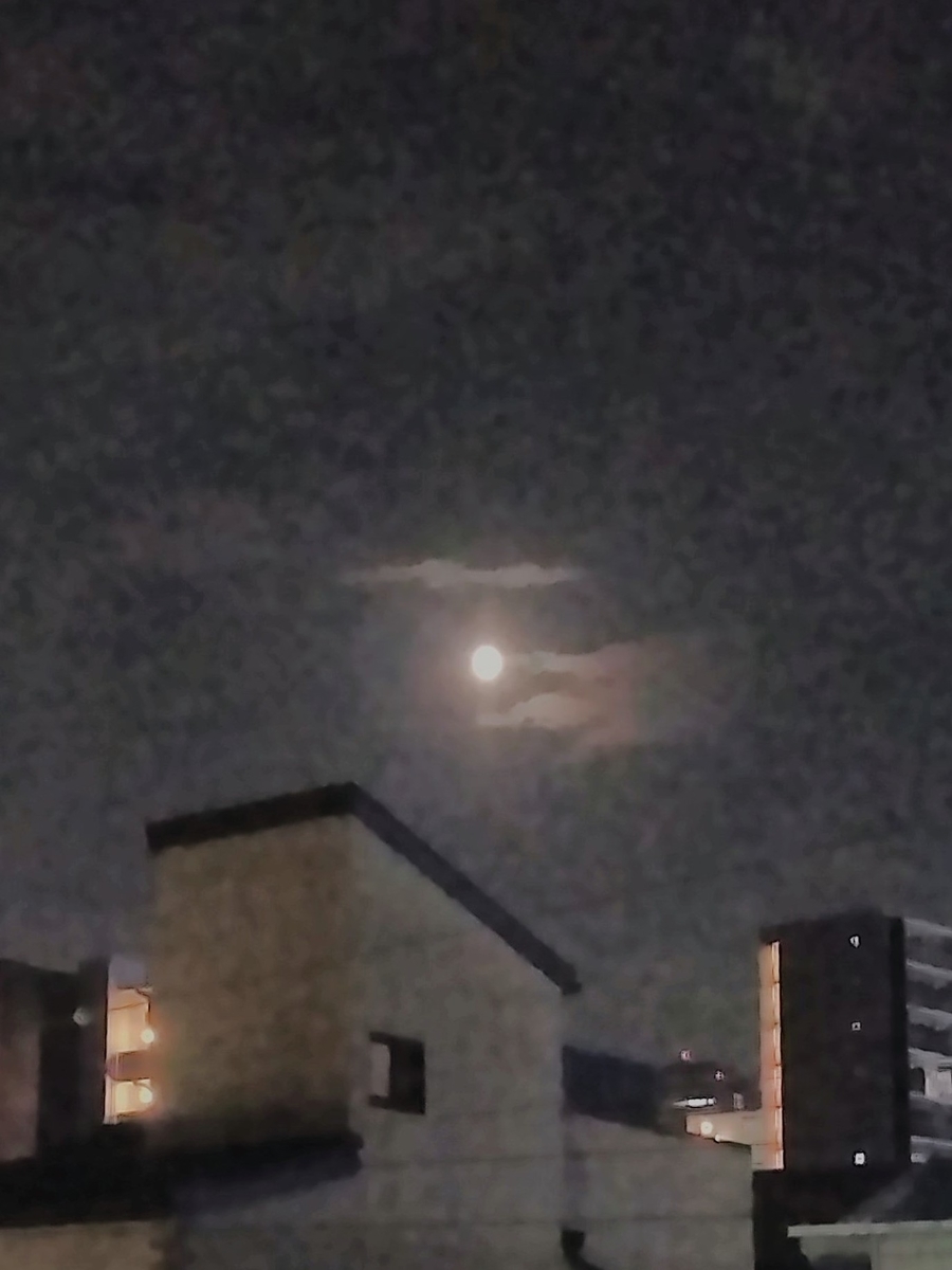 f:id:mikanococoro:20210625222353j:plain
