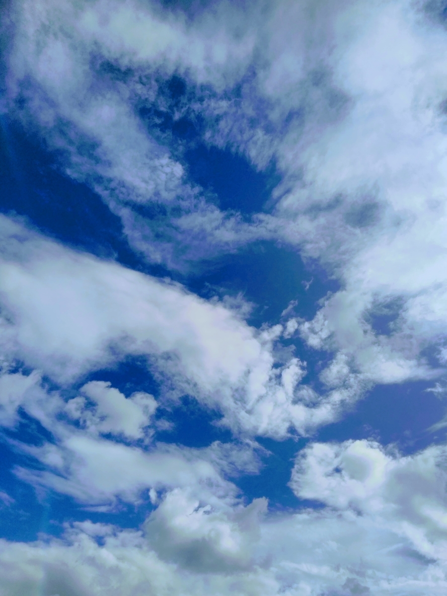 f:id:mikanococoro:20210815094748j:plain