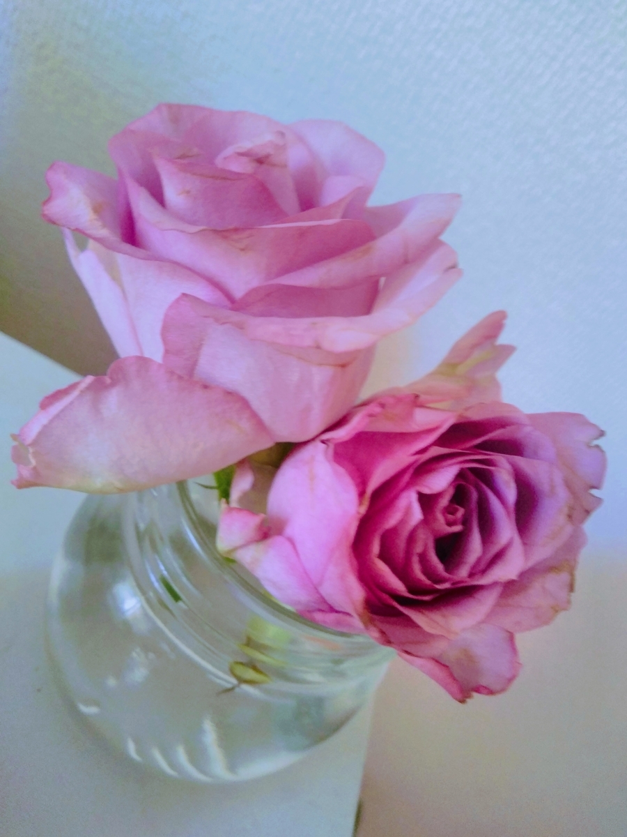 f:id:mikanococoro:20210828121104j:plain