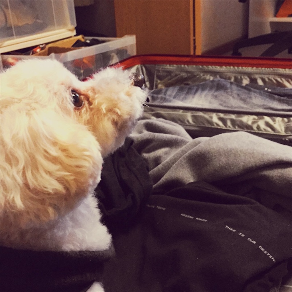 f:id:mikanodai:20190228151826j:image