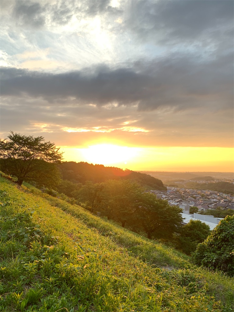 f:id:mikanodai:20200730145722j:image