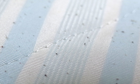 f:id:mikanusagi:20180830191421j:plain f:id:mikanusagi:20180830191421j:plain