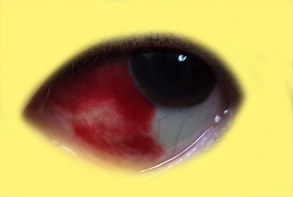 f:id:mikanusagi:20180910142731p:plain