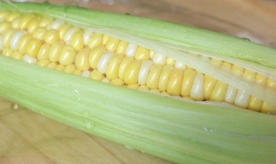 f:id:mikanusagi:20180924014202j:plain