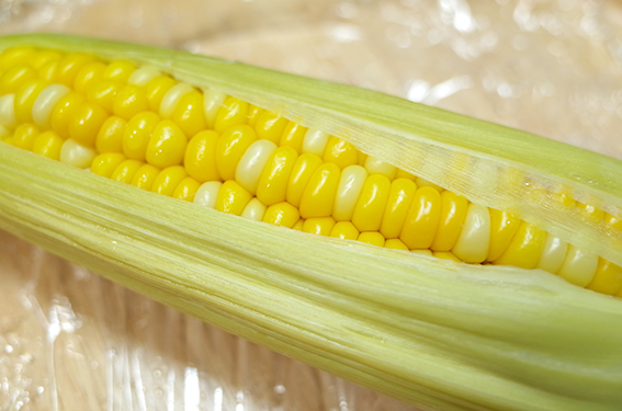 f:id:mikanusagi:20180924014327j:plain